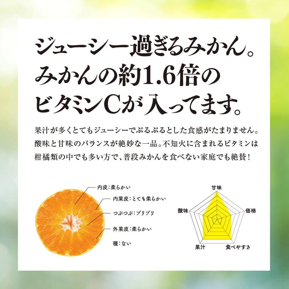 そらデコ 【愛媛産みかん/訳あり不知火】 4kg