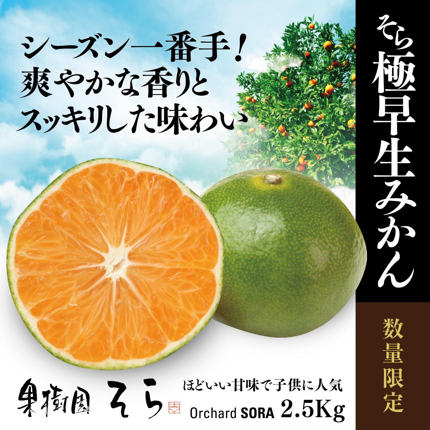 ネーブルオレンジ 国産 6〜12個 1キロ以上 低農薬 - 果物