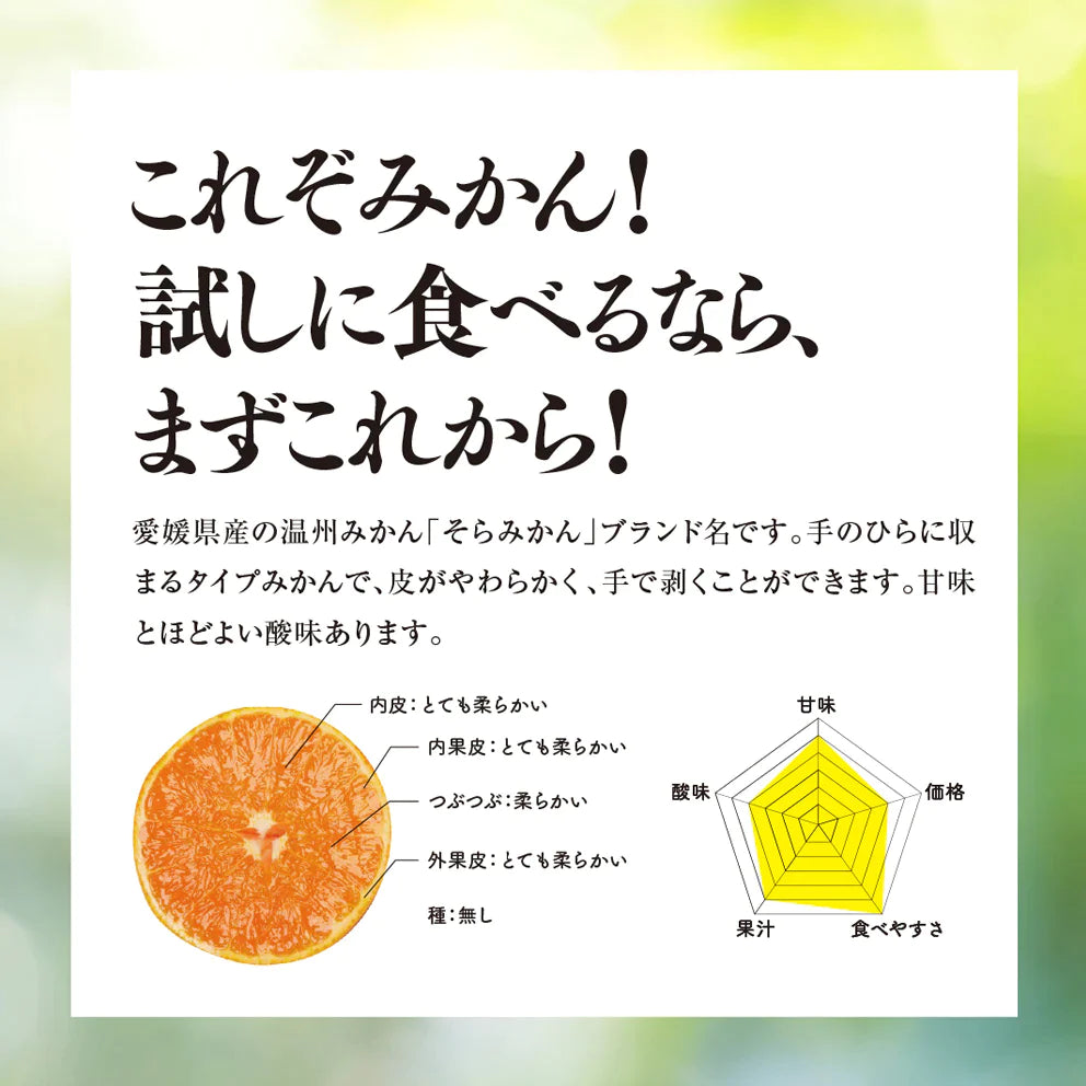 みかん 愛媛産/天空の果実/サイズ混合/訳あり 5kg