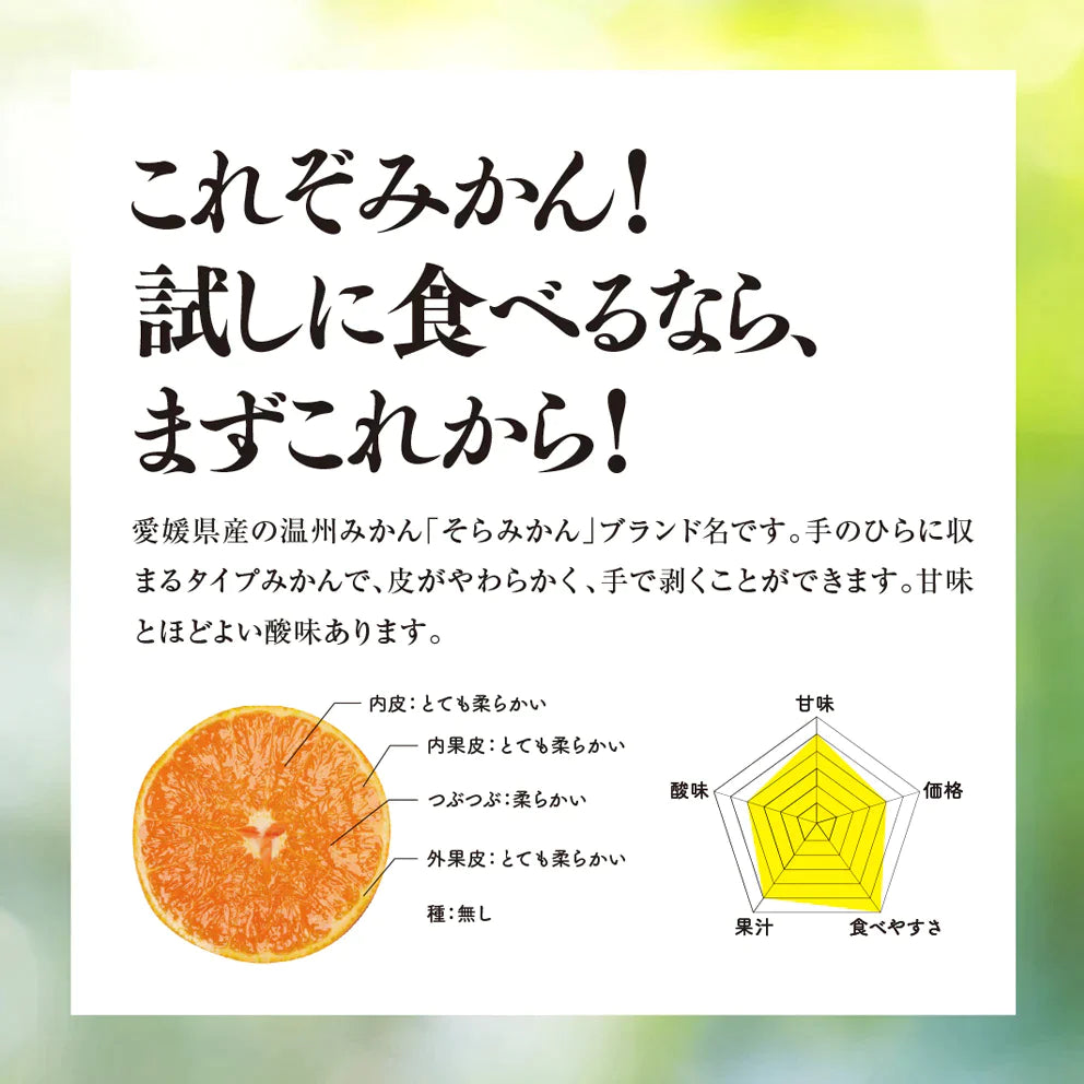 みかん 愛媛産/天空の果実/サイズ混合/訳あり 10kg