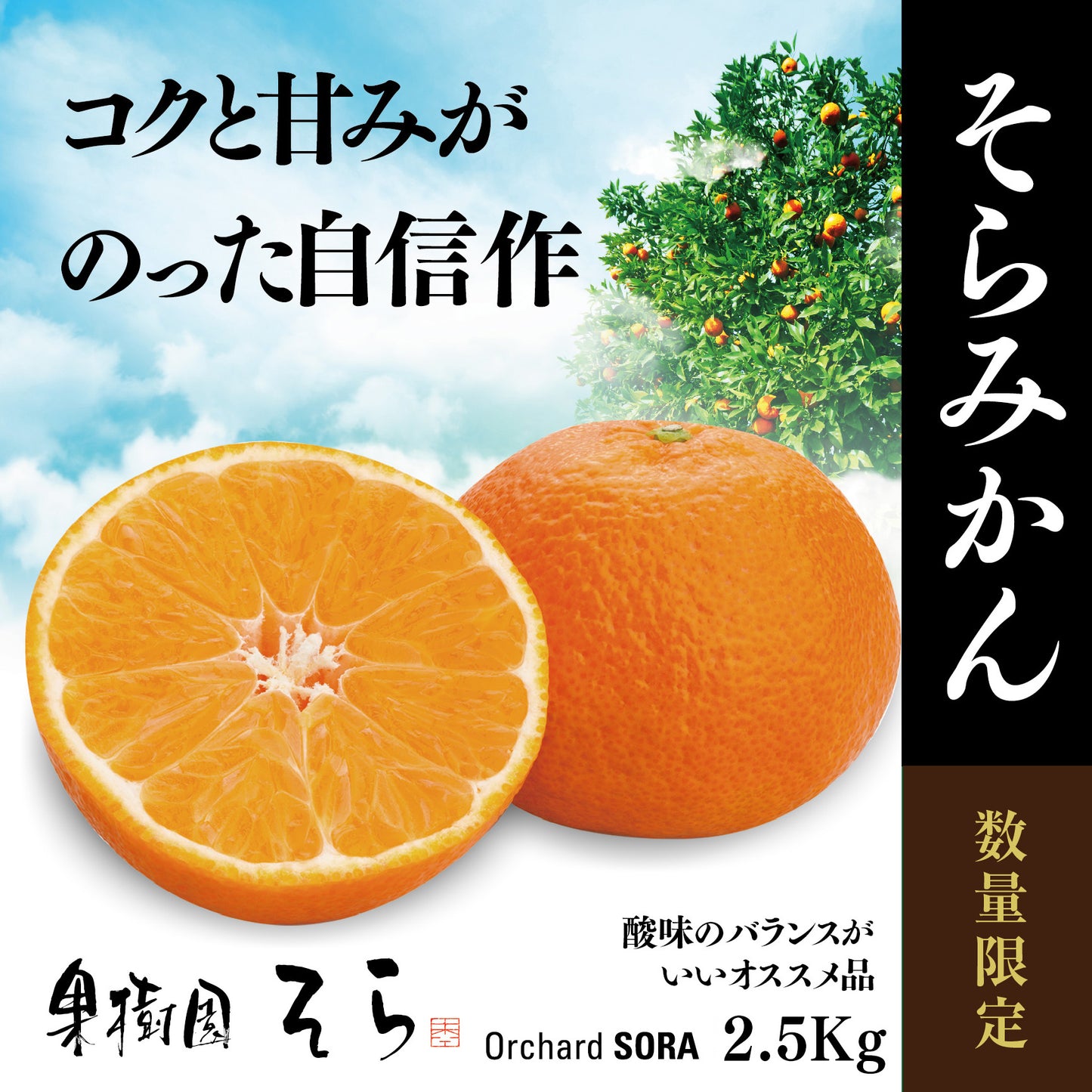 みかん 愛媛産/天空の果実 2.5kg