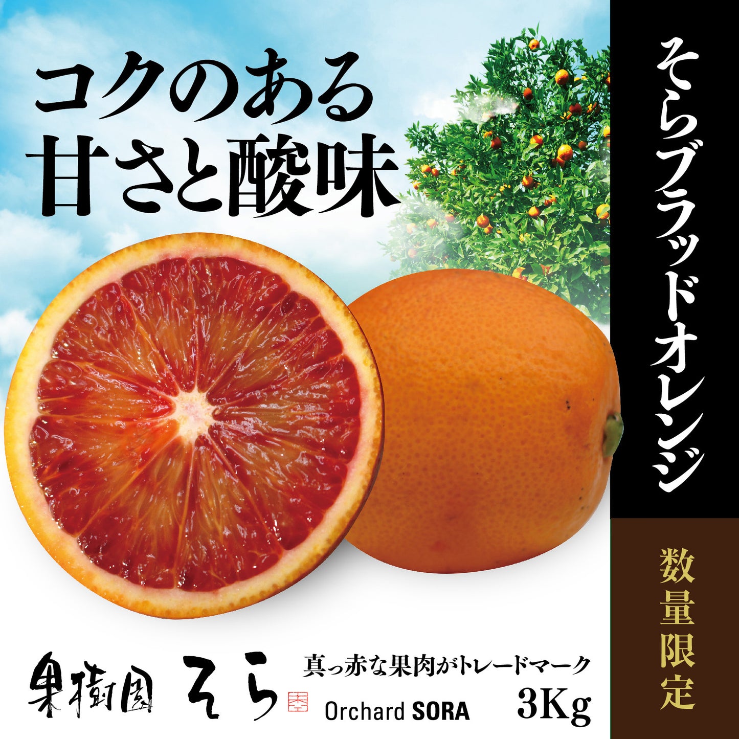 そらブラッドオレンジ【農家直送 /国産】3kg