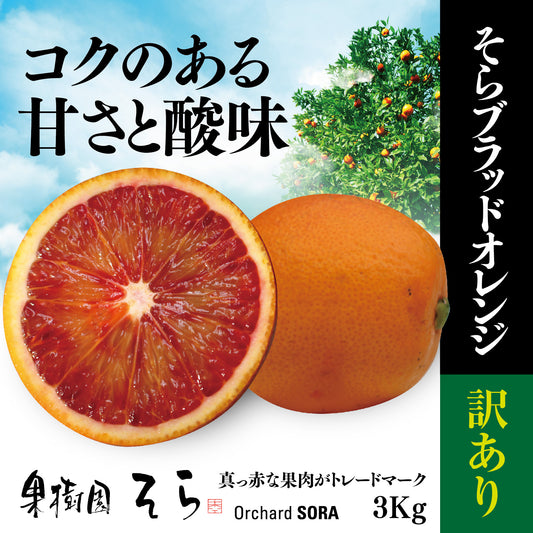 そらブラッドオレンジ【農家直送 /訳あり】3kg